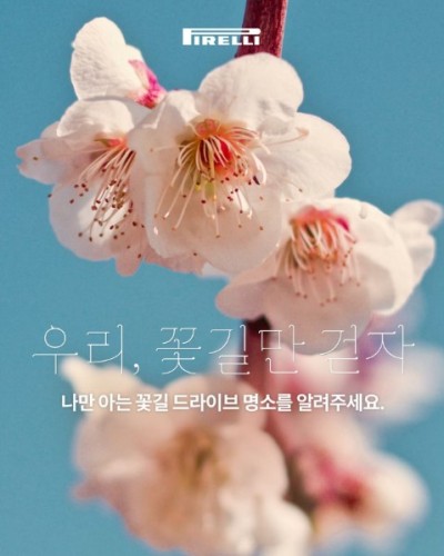 섬네일 이미지