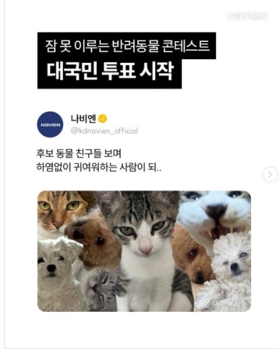 섬네일 이미지