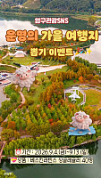 섬네일 이미지
